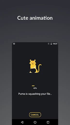 Puma Photo Resizer, Compressor 2.0.9