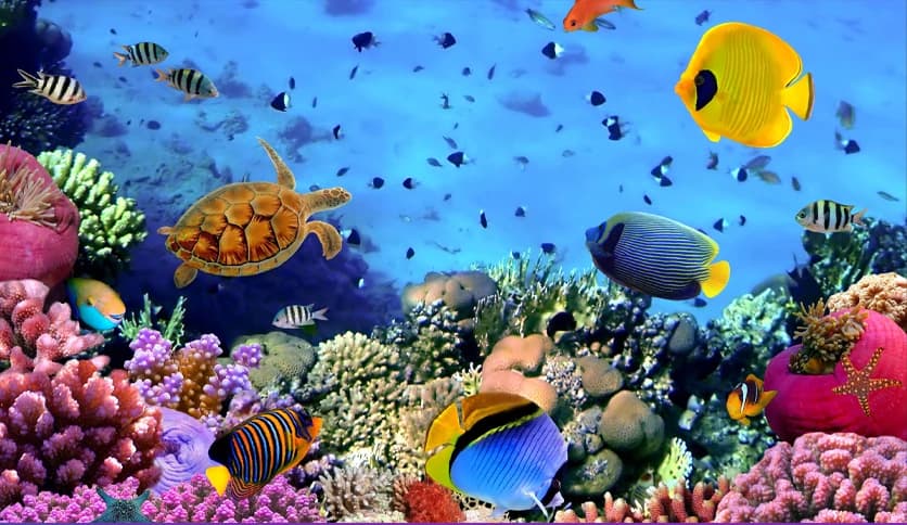 Aquarium 4K – Live Wallpaper 1.1.1