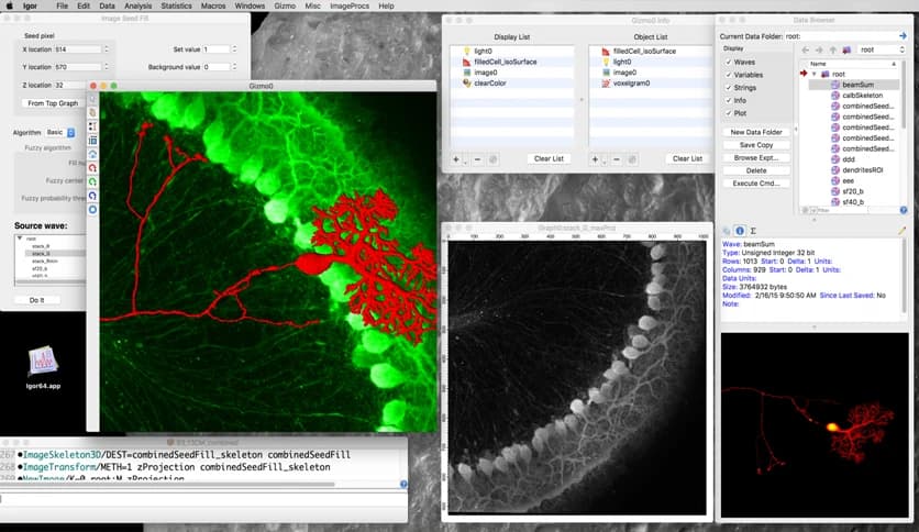 WaveMetrics Igor Pro 9.05