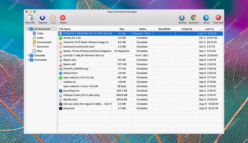 Neat Download Manager