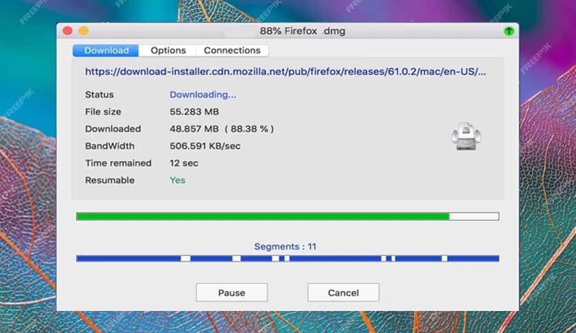 Neat Download Manager