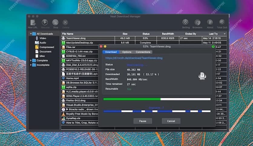 Neat Download Manager