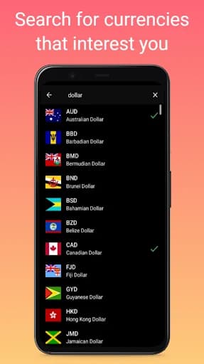 Currency Converter 1.1