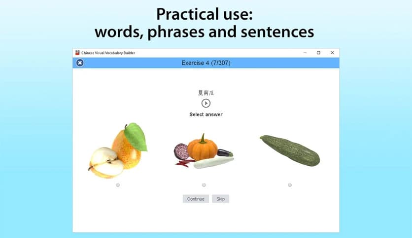 Chinese Visual Vocabulary Builder 1.3.1