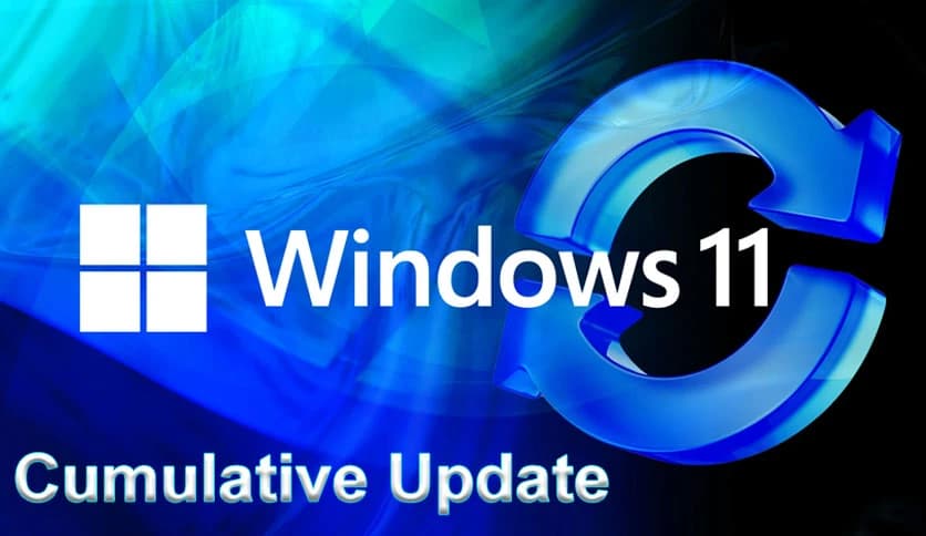 Windows 11 – Cumulative Update August 2024