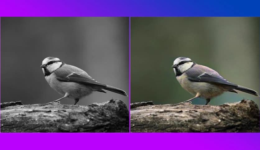 Pixbim ColorSurprise AI 3.9.0