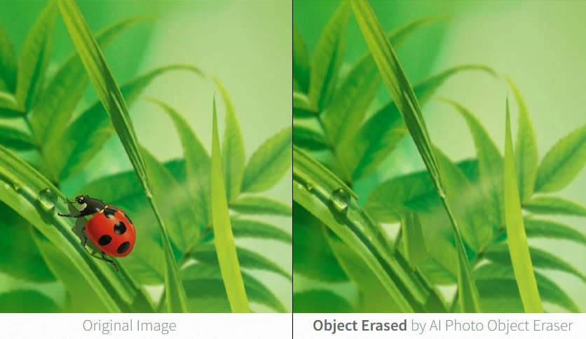 AI Photo Object Eraser 2.0