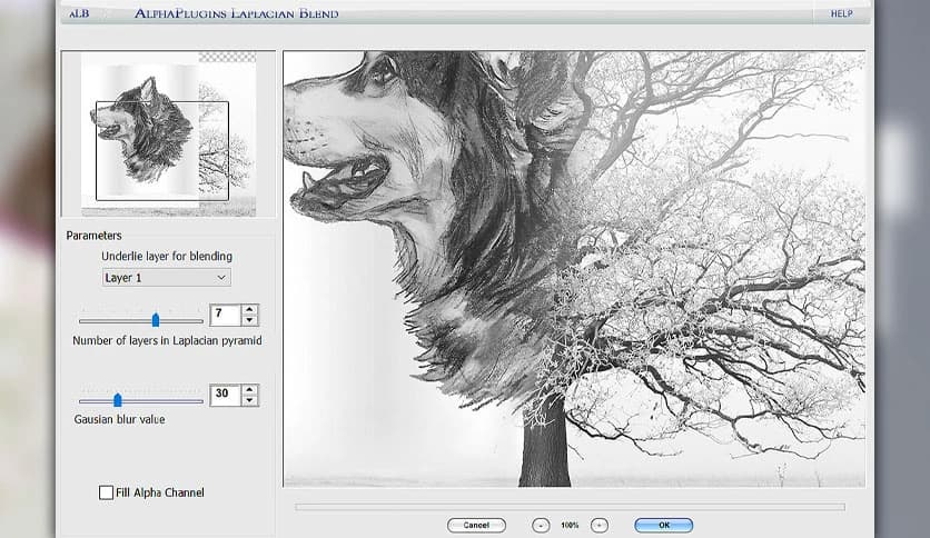 AlphaPlugins Laplacian Blend 1.0