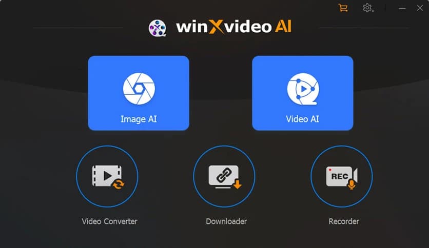 Digiarty Winxvideo AI 4.7