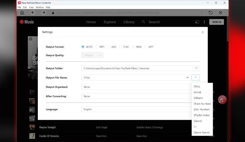 Pazu YouTube Music Converter 1.2.5