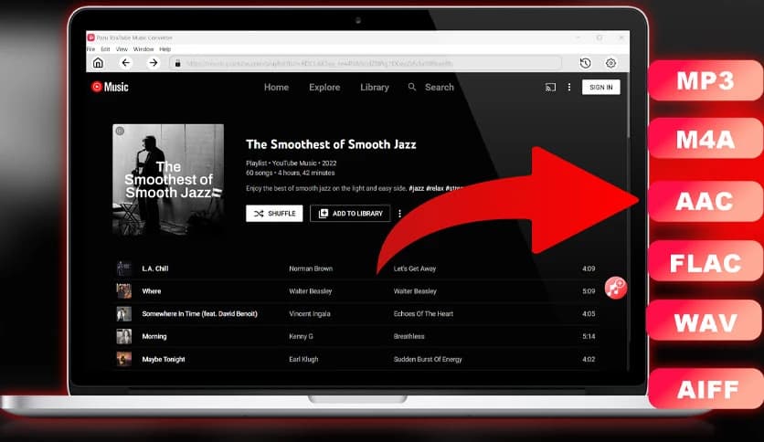 Pazu YouTube Music Converter 1.2.5