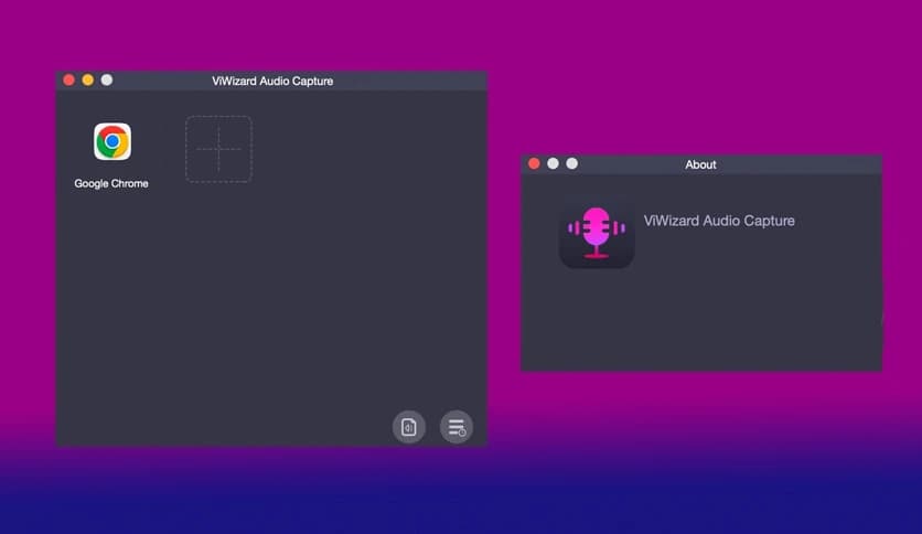 ViWizard Audio Capture 2.6.0