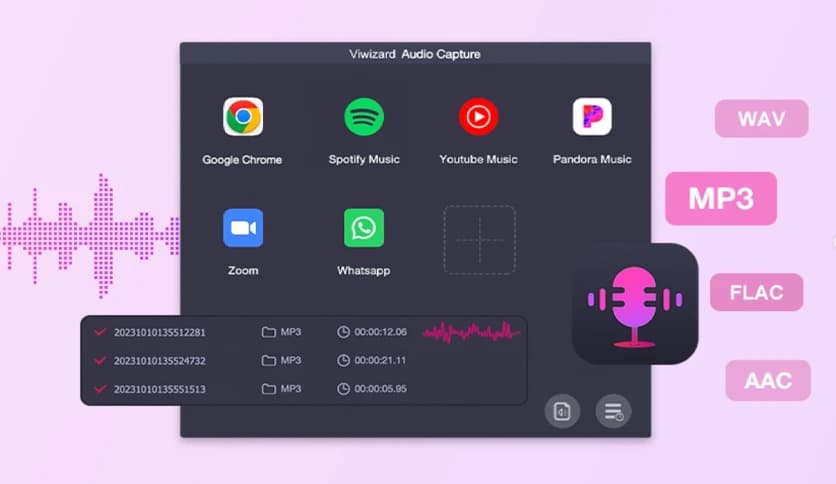 ViWizard Audio Capture 2.6.0