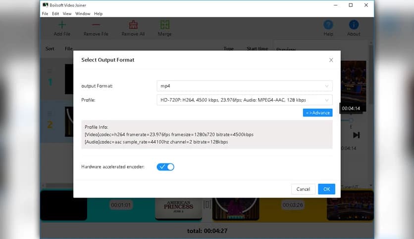 Boilsoft Video Joiner 9.1.9