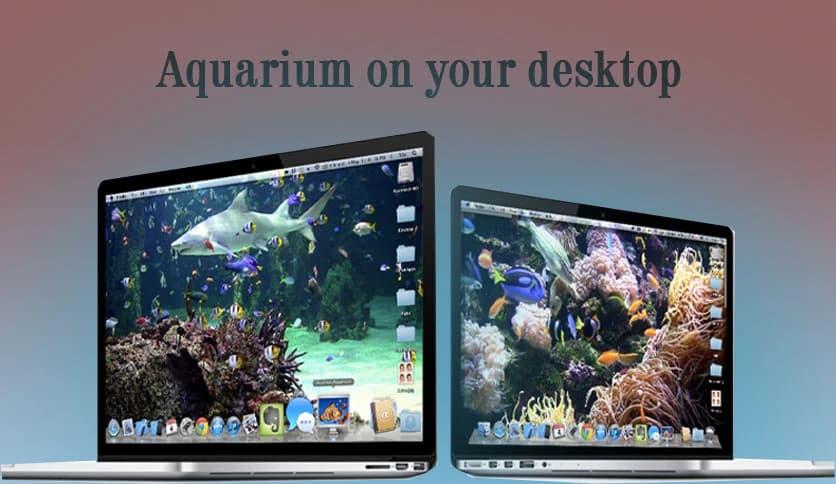 Desktop Aquarium Wallpapers 2.2.0