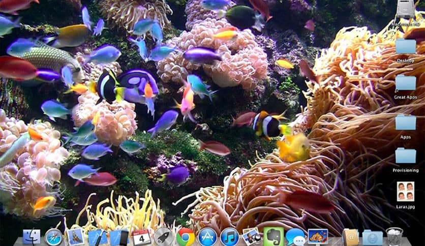 Desktop Aquarium Wallpapers 2.2.0