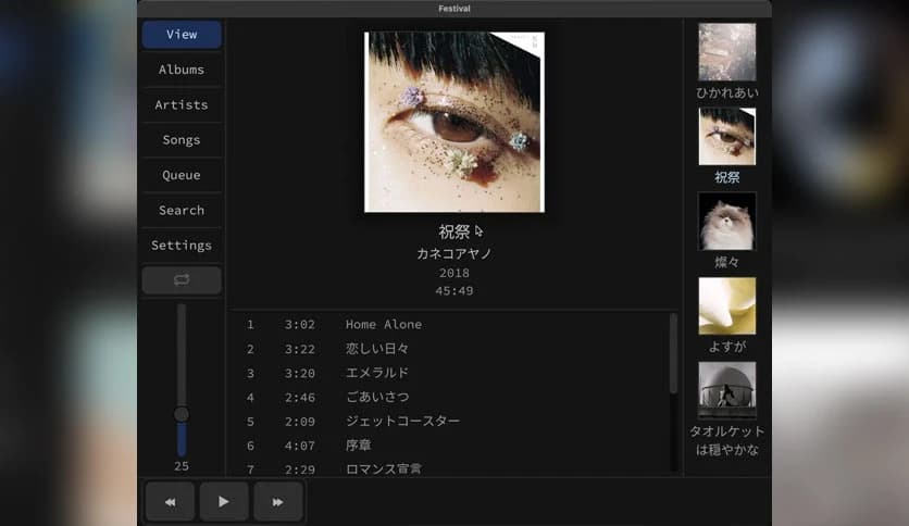 Festival Music Player 1.4.0