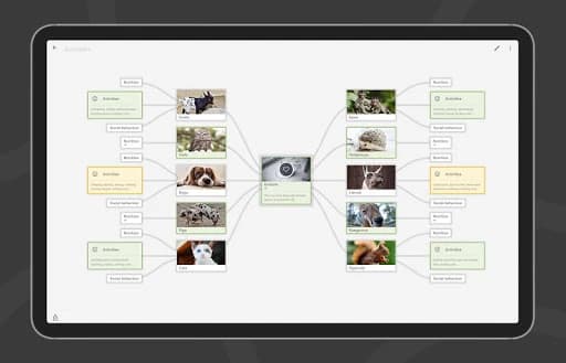 Mindz – Mind Mapping (Pro) 1.4.22