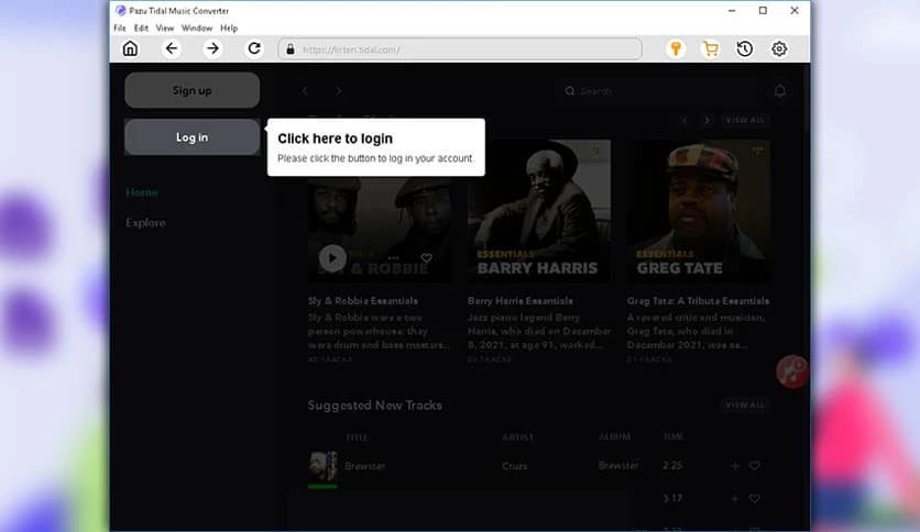 Pazu Tidal Music Converter 1.7.1