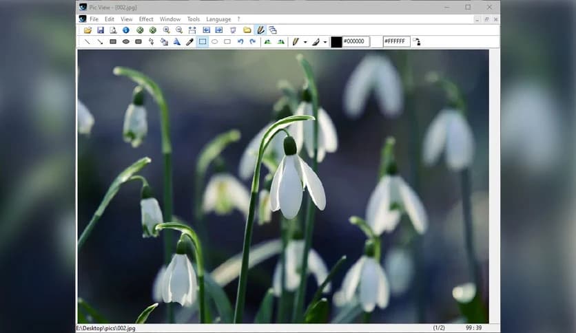 Alternate Pic View Lite