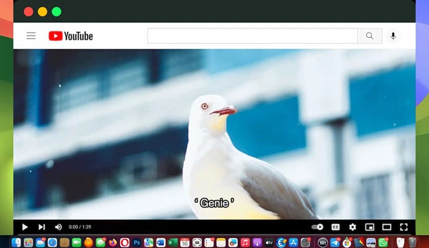 TunesKit Subtitle Editor 2.5.0.22