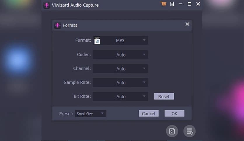 Viwizard Audio Capture 2.6.0.21
