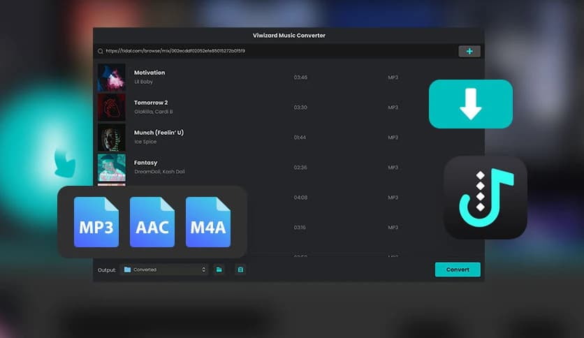ViWizard Tidal Music Converter 1.5.0.42