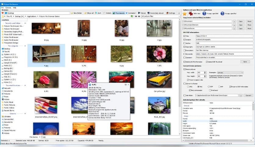 3delite Picture File Browser 1.0.42.48