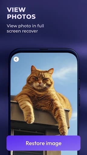 Recovery file – All file 1.00.04