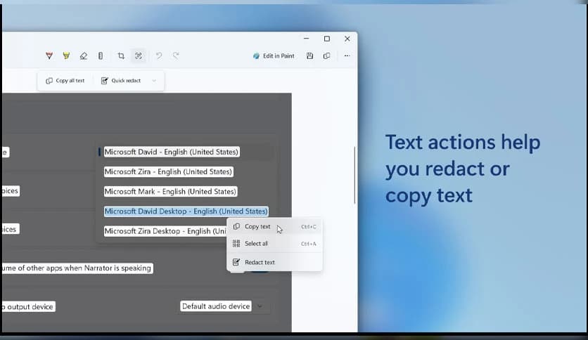 Microsoft Snipping Tool