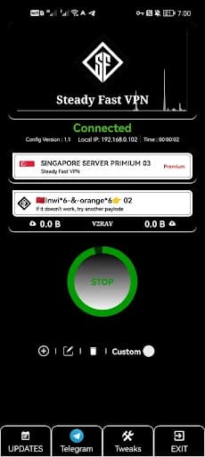 Steady Fast VPN 1.2