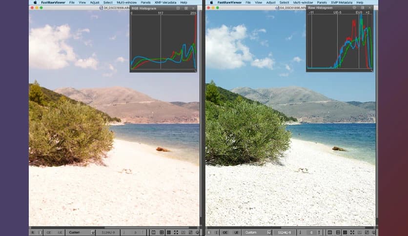 LibRaw FastRawViewer 2.0.8.2011