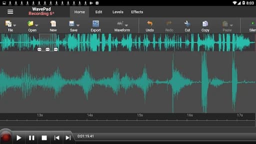 WavePad Masters Edition 19.31