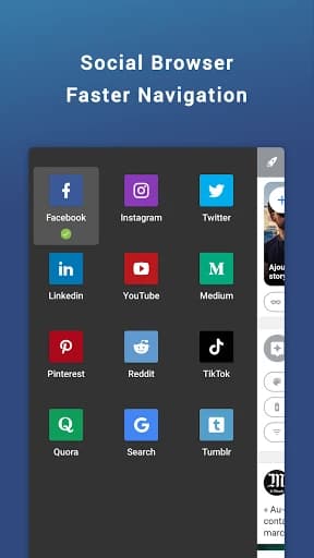 Friendly Social Browser 8.4.39 build 16720