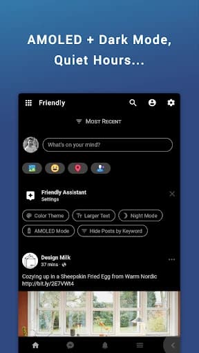 Friendly Social Browser 8.4.39 build 16720