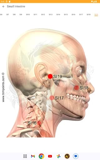 Acupuncture Assistant 8.0.17