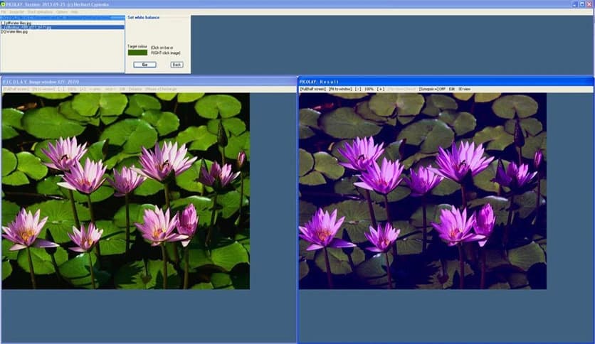 Heribert Cypionka Picolay 2025.08.13