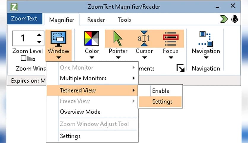 Freedom Scientific ZoomText