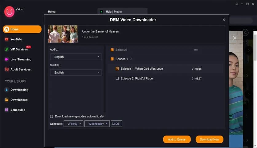 Vidus Streaming Downloader 1.3.2.5