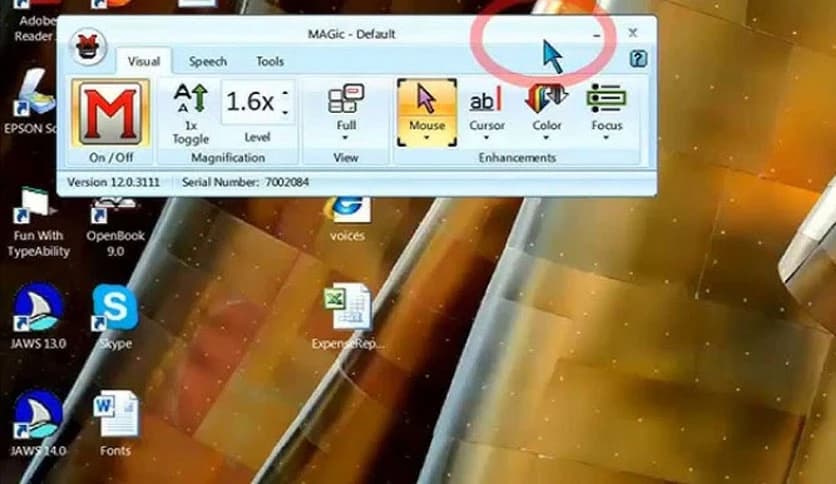 Freedom Scientific MAGic Screen Magnification 15.0.2014