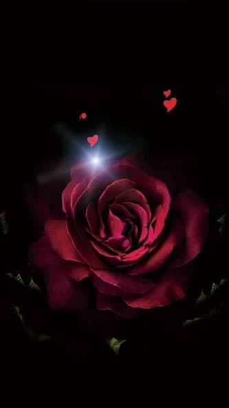 Rose Wallpaper Flower 3D image 15.7.7