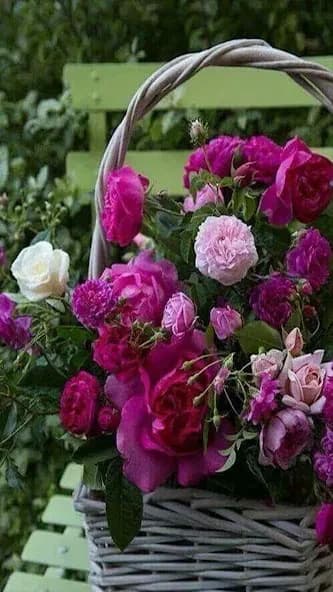 Rose Wallpaper Flower 3D image 15.7.7