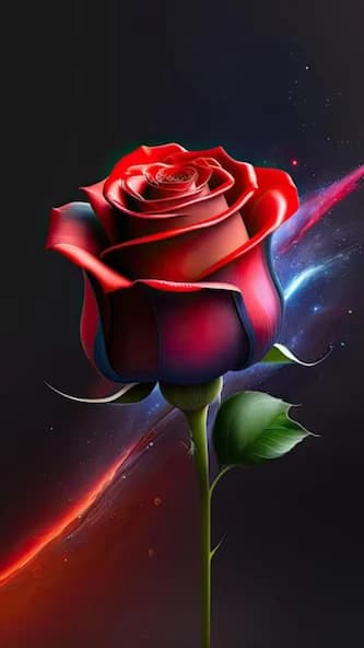 Rose Wallpaper Flower 3D image 15.7.7