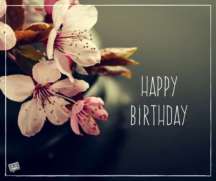 Happy Birthday Wishes 1.0