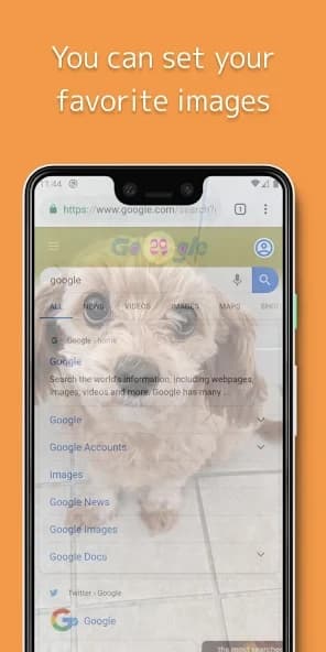 Privacy Filter Simple 2.6.2