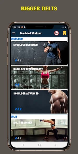 Dumbbell Home – Gym Workout 1.60