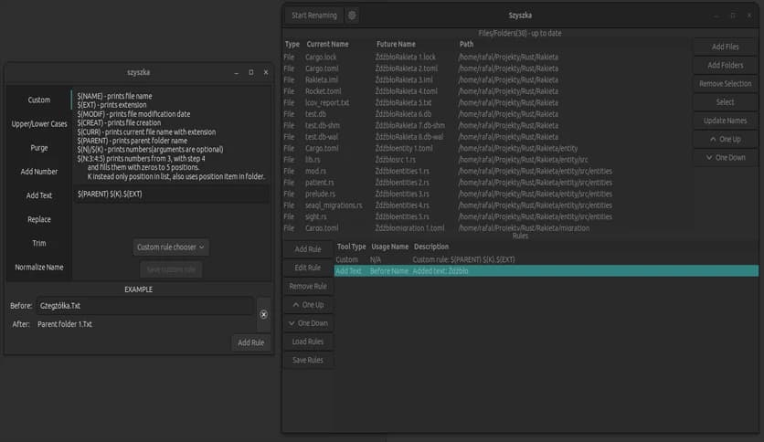 Szyszka File Renamer 3.0.0