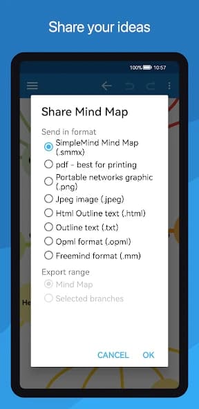 SimpleMind Pro 2.3.4