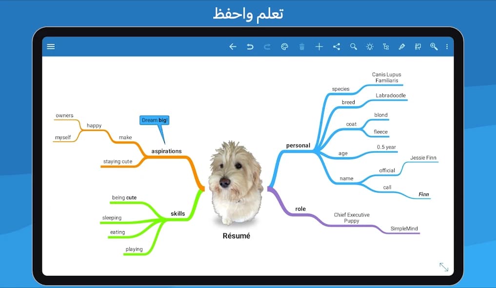 SimpleMind Pro 2.3.4