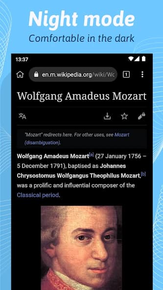 Kiwi Browser – Fast & Quiet 124.0.6327.4